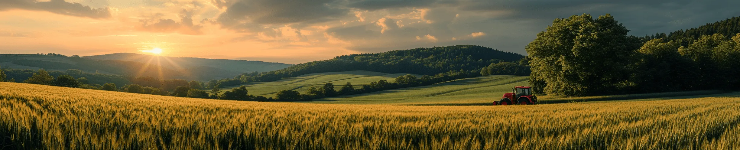 Landwirtschaft
